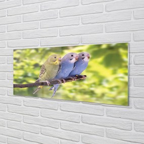 Panel Szklany Tropikalna Para na Drzewie