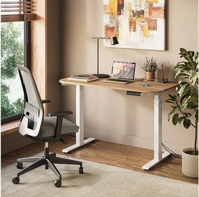 Biurko biały/artystyczny 120x60x120 elevate