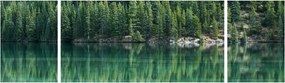 Obraz - drzewa iglaste nad jeziorem (170x50 cm)