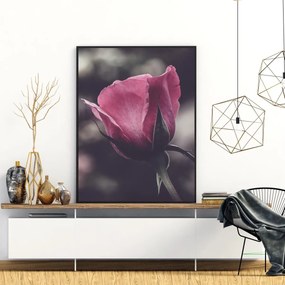 Plakat - Kwiat róży (A4)