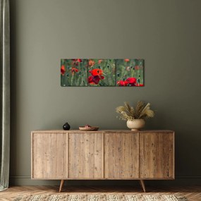 Obraz - Łąka z makami (z zegarem) (90x30 cm)