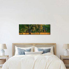 Obraz żyraf w naturze (z zegarem) (90x30 cm)