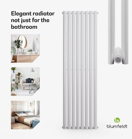 Blumfeldt Tallheo Grzejnik