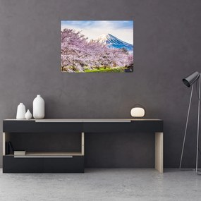 Obraz na szkle - Japonia wiosną (70x50 cm)