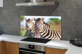 Szklany Panel Rodzina Zebr na Sawannie