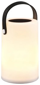 Solarna lampa zewnętrzna LED (wysokość 21 cm) Garcia – Reality