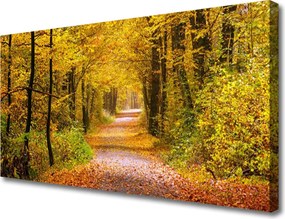 Obraz canvas Spacer przez Słoneczny Las