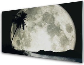 Panel Kuchenny Tropikalna Noc Pod Księżycem