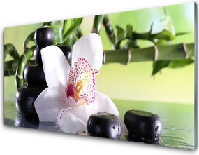 Szkło Dekoracyjne do Kuchni Azjatycka Równowaga Elementów