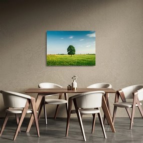 Obraz na szkle drzewa na środku łąki (70x50 cm)