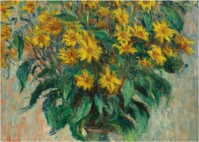 Obraz - Claude Monet, Jerusalem Artichoke Flowers, reprodukcje (70x50 cm)