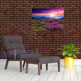Obraz - Krajobraz kwitnących gór (70x50 cm)
