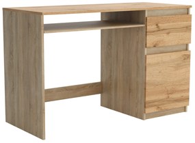 Biurko komputerowe młodzieżowe szkolne 120 cm REMI1 Dąb Sonoma/Dąb Wotan