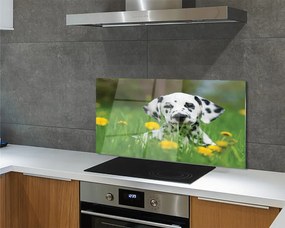 Szklany Panel Szczęśliwy Pies na Zielonej Łące