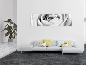 Obraz - Detal kwiatu róży (170x50 cm)