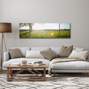 Obraz drzewa na polu (170x50 cm)