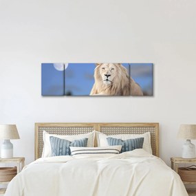 Obraz - Biały lew (170x50 cm)