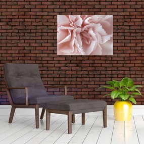 Obraz na szkle - Szczegół kwiatu (70x50 cm)