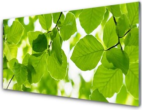 Panel Kuchenny Detal Egzotycznego Liścia