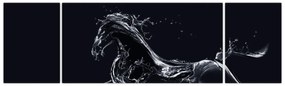 Obraz - Koń i woda (170x50 cm)