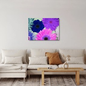 Obraz na szkle - kolorowe kwiaty (70x50 cm)