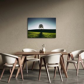 Obraz natury - drzewo (70x50 cm)
