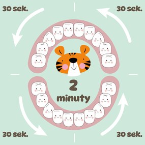 Szczoteczka soniczna elektryczna do zębów dla dzieci 3-12 lat BABY TIGER + 2 końcówki