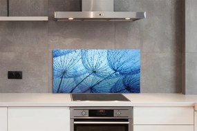 Panel szklany do Kuchni Puszyste Dmuchawce z Rosą