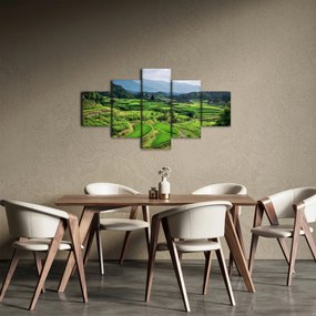 Obraz pól ryżowych (125x70 cm)