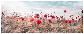 Obraz na płótnie Styler Poppies, 60x150 cm