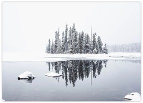 Obraz - Było biało (70x50 cm)