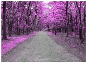 Obraz na szkle - Ścieżka przez park (70x50 cm)