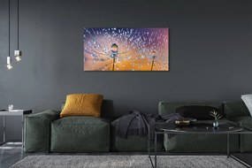 Obraz na płótnie Rosa na Parasolkach Dmuchawca