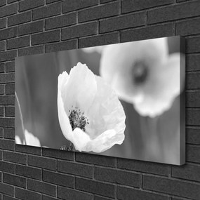 Obraz canvas Klasyczny Motyw Maków