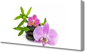 Obraz canvas Klasyczna Biała Orchidea