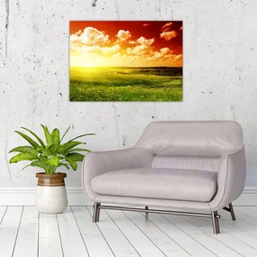 Obraz łąki ze świecącym słońcem (70x50 cm)