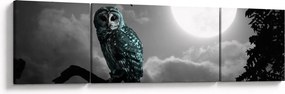Obraz - Nocna sowa, niebieski (170x50 cm)