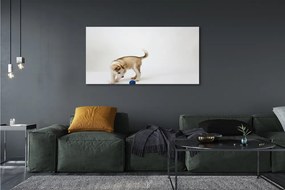 Duży obraz na płótnie Radosny, Bawiący się Pies
