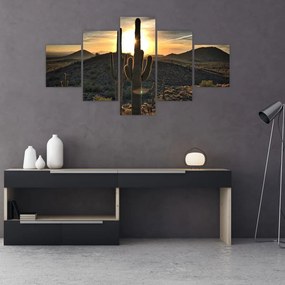 Obraz - kaktusy w słońcu (125x70 cm)