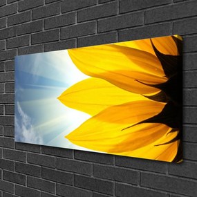 Obraz na płótnie Delikatne Płatki Kwiatowe