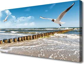 Zdjęcie na płótnie Mewy nad Morskim Brzegiem