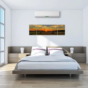 Obraz - Wiejskie bale (170x50 cm)