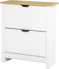 HOMCOM Szafkowy regał na buty, 2 komory, 12 par butów, 72 cm x 26 cm x 80 cm, Biały + Brąz