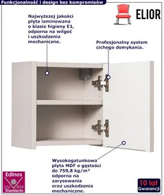Górna wisząca szafka łazienkowa w kolorze kaszmir - Dafo 6X