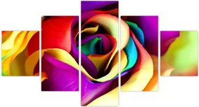 Obraz - Kolorowa róża (125x70 cm)