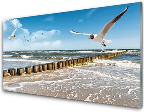Szkło do Kuchni na Ścianę Mewy nad Morskim Brzegiem