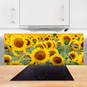 Panel Szklany Złociste Słoneczniki