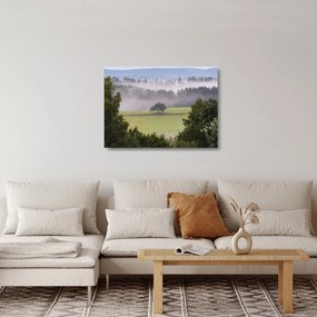 Obraz na szkle łąki z drzewem (70x50 cm)
