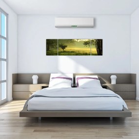 Obraz - Budzący się las (170x50 cm)