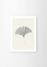 Plakat 50x70 cm Ginkgo Leaf – Ana Frois – The Poster Club
